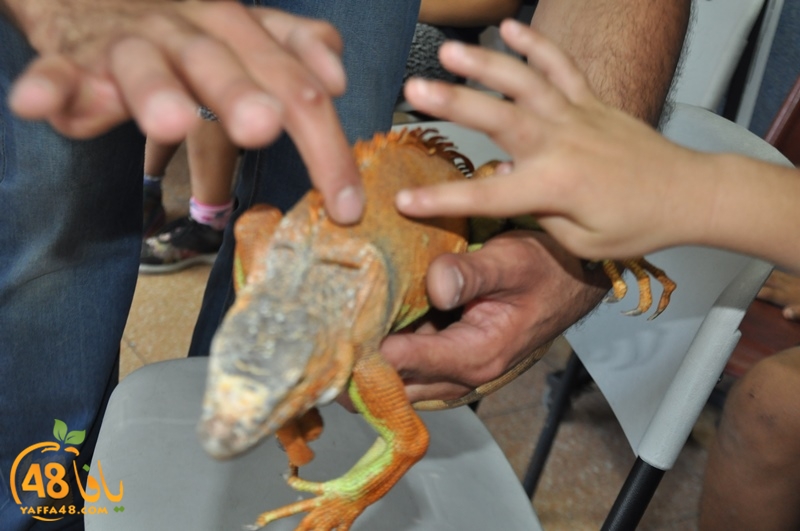 nady nhary 7san (9).JPG